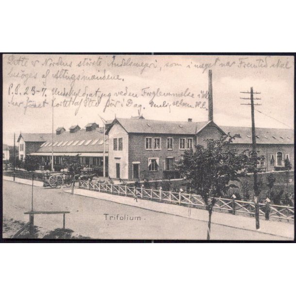 Haslev - Trifolium - Aug. Olsens Bogh. 3634