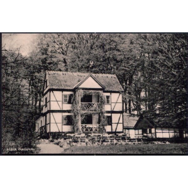 Villa Gallina - Nr. 14525