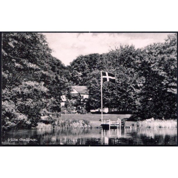 Villa Gallina - Villa Gallina 15314