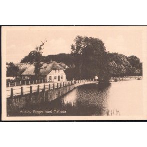 Haslev - Bregentved Møllesø - Stender H. 43