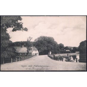 Vejen ved Mølledammen - Alfred Jensens Bogh. 6225