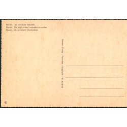 Haslev - Den udviede H&oslash;jskole - Stender 40 204/5