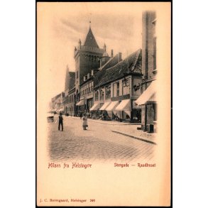 Hilsen fra Helsing�r - Stengade - Raadhuset - J.C. Borregaard 249