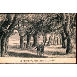 Helsing�r - Gl. Kronborg Alle 1880 - Knud Nielsen u/n