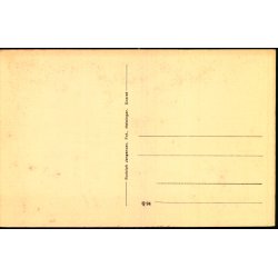 Kuranstalten - Montebello ved Helsing�r - Havesal - R. J�rgensen Q 94