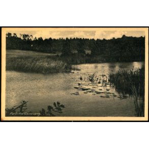 Parti fra Gadevang - Kbm. G. Knudsen 4290