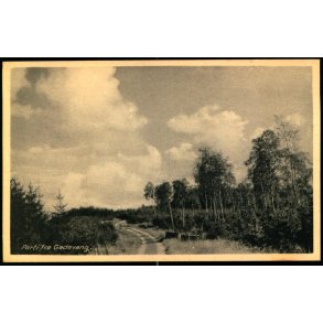 Parti fra Gadevang - Kbm. G. Knudsen 4289