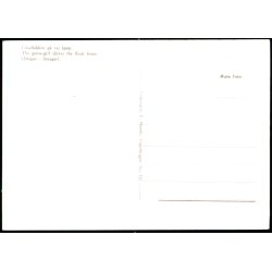 Drag&oslash;r - G&aring;seflok p&aring; vej hjem - F. Munthe 150