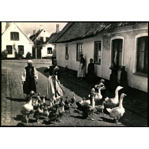 Drag&oslash;r - G&aring;seflok p&aring; vej hjem - F. Munthe 150