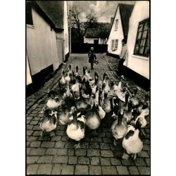 G&aring;sepige Drag&oslash;r - F. Munthe 716