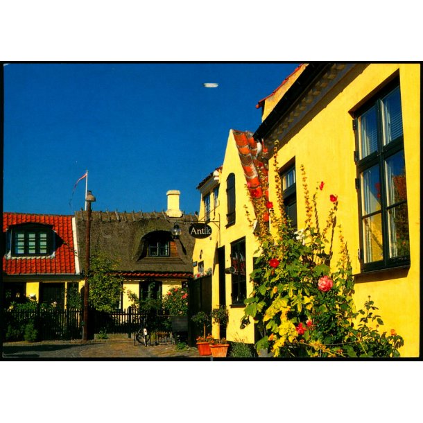 Drag&oslash;r - Gadeparti - Trojaborg DRA 2