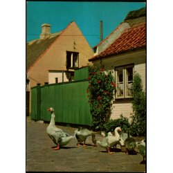 Drag&oslash;r - Amager - Drag&oslash;r Bogh. 6701-690