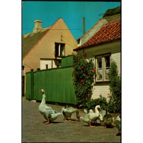 Drag&oslash;r - Amager - Drag&oslash;r Bogh. 6701-690