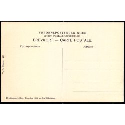 Kristiansborg Slot - Branden 1884 - set fra Ridebanen - V.P. Kbh. 423