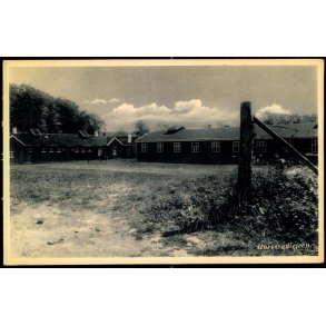 Horser�dlejren - Holmehus 14678