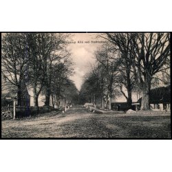 Krogerup Alle ved Humleb�k - C. St. 487