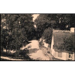 Bakken ved Humleb�k - Knud Nielsen 28327