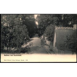 Bakken ved Humleb�k - Knud Nielsen 1676