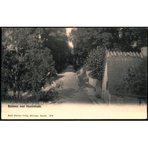 Bakken ved Humleb�k - Knud Nielsen 1676