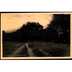 Egene i Egeb�ksvang - J.M. 689