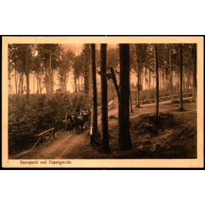 Skovparti ved Esperg�rde - Alex Vincent 305