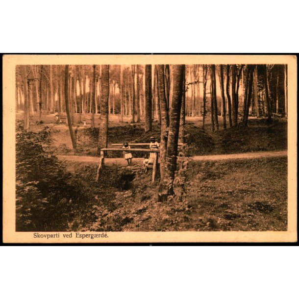 Skovparti ved Esperg�rde - Alex Vincent 304