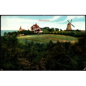 Esperg�rde - C.F. 524