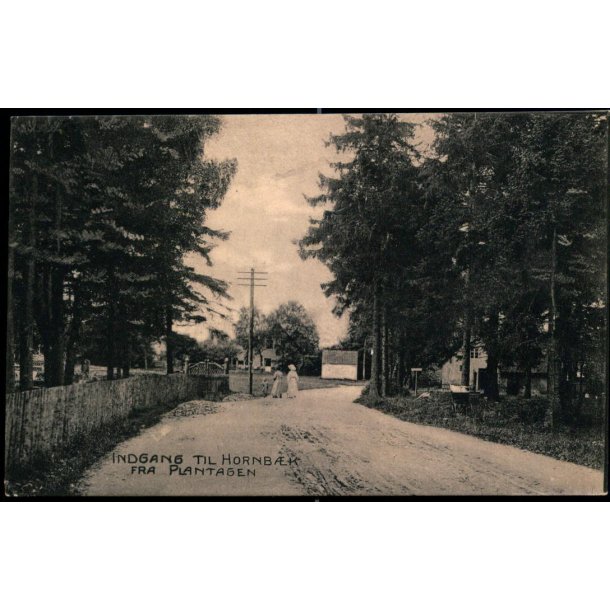 Indgang til Hornb�k fra Plantagen - u/n