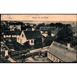 Partie fra Hornb�k - Hahnemanns Forlag u/n