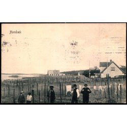 Hornb�k - Peter Alstrup 5373