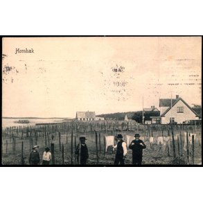 Hornb�k - Peter Alstrup 5373