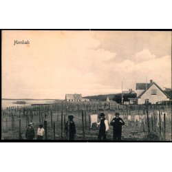 Hornb�k - Peter Alstrup 5373