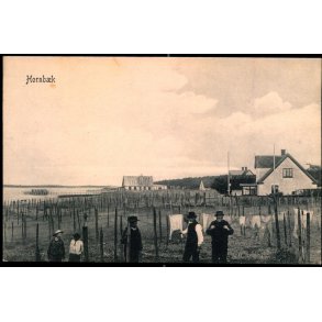 Hornb�k - Peter Alstrup 5373