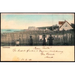 Hornb�k - Peter Alstrup 883