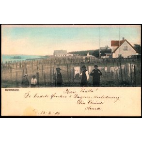 Hornb�k - Peter Alstrup 883