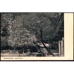 Snekkersten - Krohaven - Peter Alstrup 876