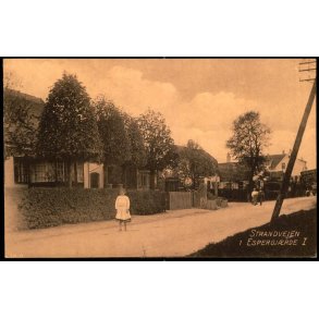 Strandvejen i Espeg�rde I - J.M. 786