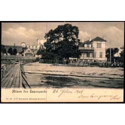 Hilsen fra Espeg�rde - J.C. Borregaard 445