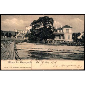 Hilsen fra Espeg�rde - J.C. Borregaard 445