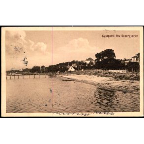 Kystparti fra Espegj�rde - J.M. 805