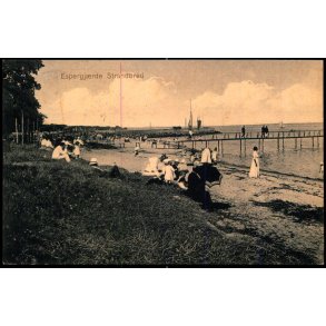 Espergj�rde Strandbred - J.M. 820