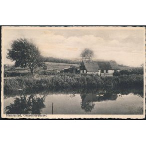 Hundested - Gaasemosehuset - Rudolf Olsen 5652