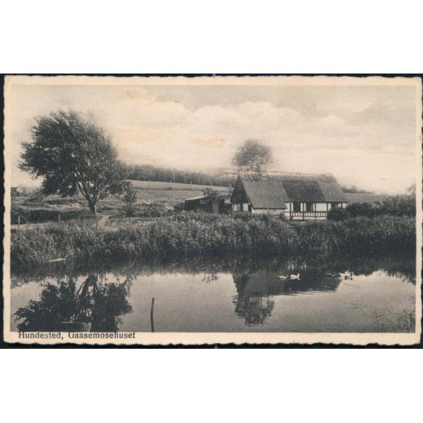 Hundested - Gaasemosehuset - Rudolf Olsen 5652