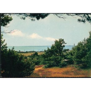 Parti fra Hundested - Lyngbakkerne - Witth�ft-Rasmussen 43122/20