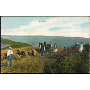 Lyn�s - Alex Vincent 721