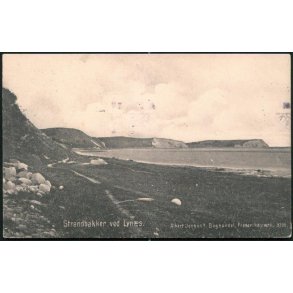 Strandbakker ved Lyn�s - Albert Jensens Bogh. 3705