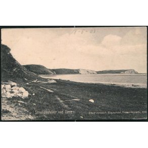 Strandbakker ved Lyn�s - Albert Jensens Bogh. 3705