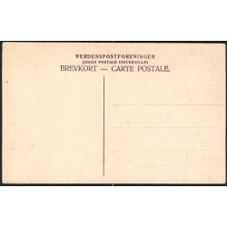 Strandbakker ved Lyn�s - Albert Jensens Bogh. 3705