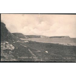 Strandbakker ved Lyn�s - Albert Jensens Bogh. 3705