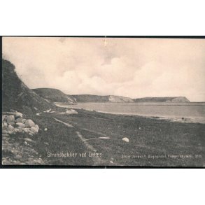 Strandbakker ved Lyn�s - Albert Jensens Bogh. 3705